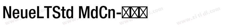 NeueLTStd MdCn字体转换